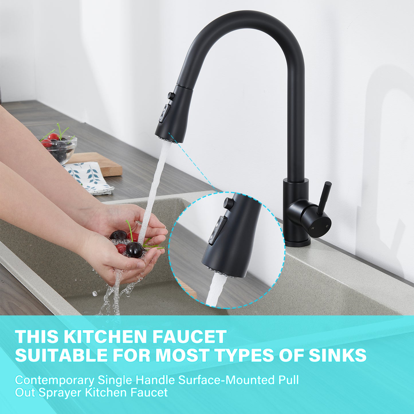 Single Handle Surface-Mounted Pull Out Sprayer Kitchen Faucet Standard Kitchen Faucet in Matte Black