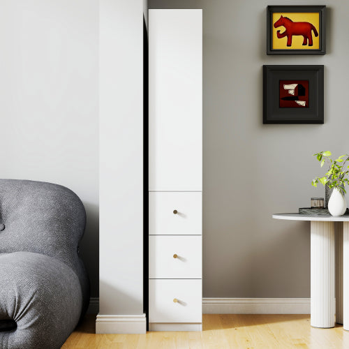 Tall Display Storage Cabinet with Shelves and Side Drawers