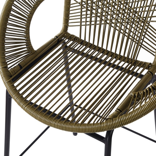 Ferrara Outdoor Patio Green Faux Wicker Barstool, Set of 2