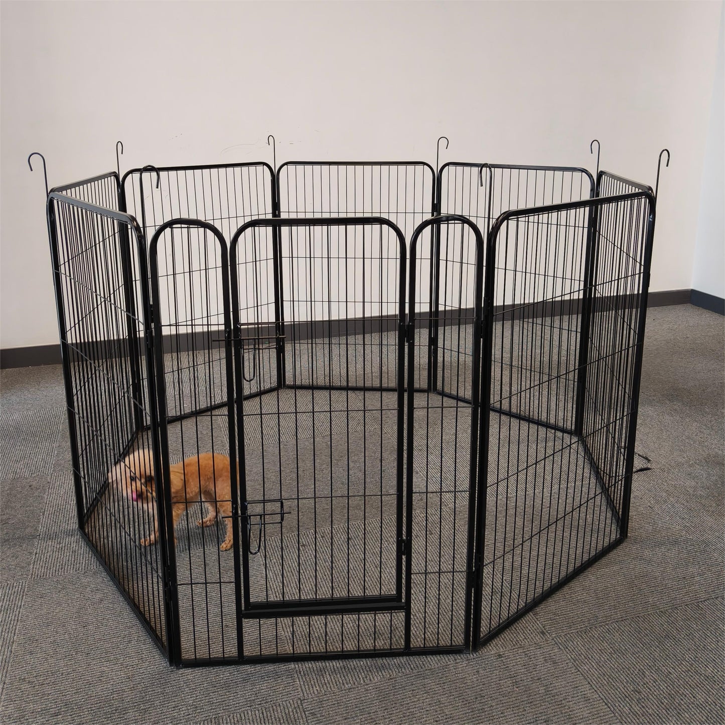 Large Outdoor Metal Puppy Dog Run Fence/8 Panels Iron Pet Dog Playpen