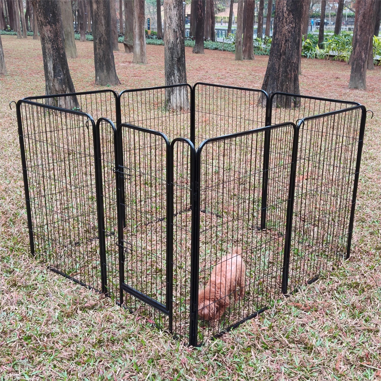 Large Outdoor Metal Puppy Dog Run Fence/8 Panels Iron Pet Dog Playpen