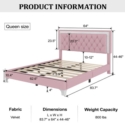 Queen Size Upholstered Bed Frame with LED Lights,Modern Velvet Platform Bed with Tufted Headboard,Pink