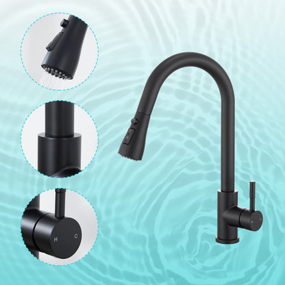 Single Handle Surface-Mounted Pull Out Sprayer Kitchen Faucet Standard Kitchen Faucet in Matte Black