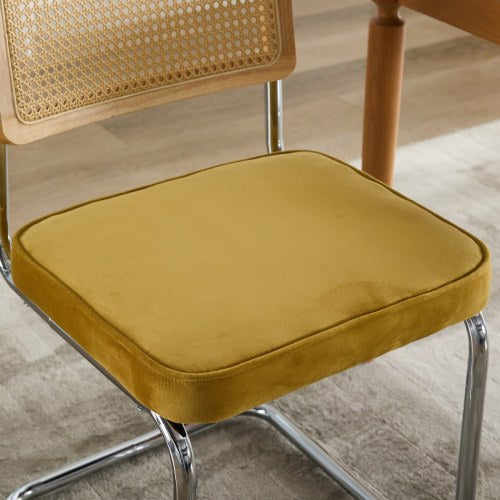 Set of 2 Golden Cane Back Cantilever Dining Chairs, Velvet Upholstered Chrome Double Steel Pipe Base 360 LBS Capacity