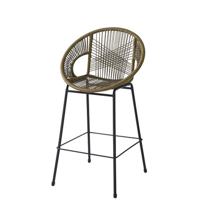 Ferrara Outdoor Patio Green Faux Wicker Barstool, Set of 2