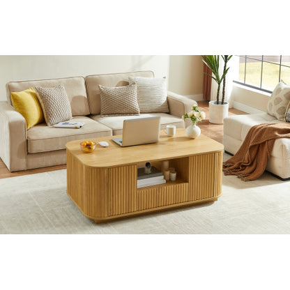 46.5inch  Oval Modern Luxury Coffee Table with Storage, Natural