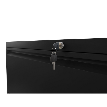 2 Drawer Metal File Cabinet with Lock for Letter Legal A4 Files Black