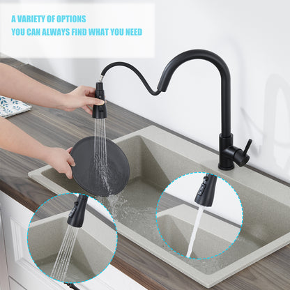 Single Handle Surface-Mounted Pull Out Sprayer Kitchen Faucet Standard Kitchen Faucet in Matte Black