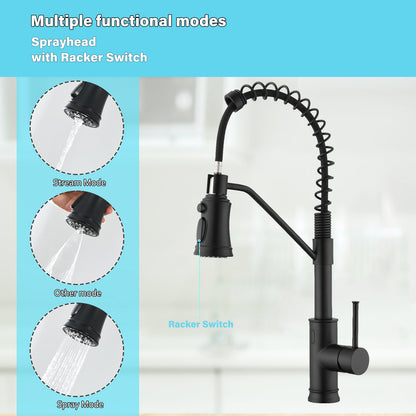 Single Handle Pull Out Sprayer Kitchen Faucet in Black