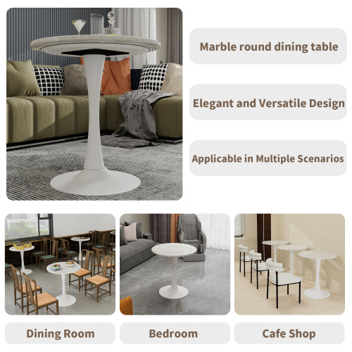 27.6inch  Round Marble Vein Coffee Table, White Base