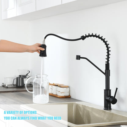Single Handle Pull Out Sprayer Kitchen Faucet in Black