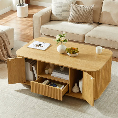 46.5inch  Oval Modern Luxury Coffee Table with Storage, Natural