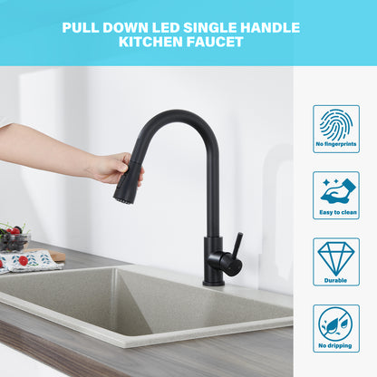 Single Handle Surface-Mounted Pull Out Sprayer Kitchen Faucet Standard Kitchen Faucet in Matte Black