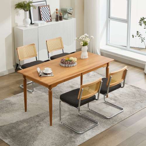 Set of 2 Black Cane Back Cantilever Dining Chairs, Velvet Upholstered Chrome Double Steel Pipe Base 360 LBS Capacity