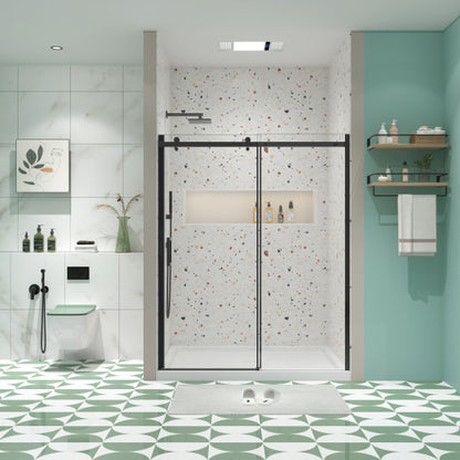 Glass shower door, sliding door, with 5/16" tempered glass and Matted Black finish 6074