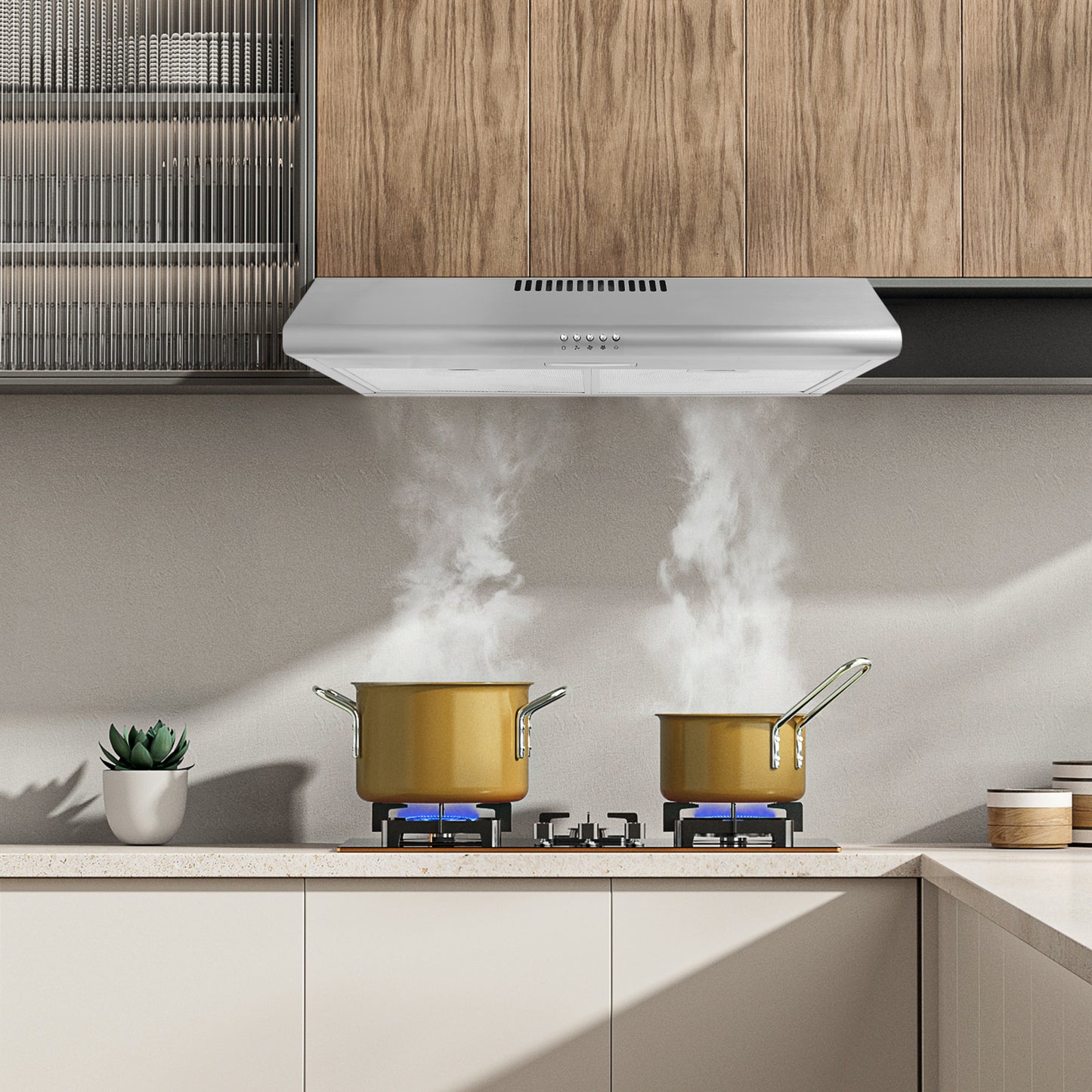 30-in 220-CFM Convertible Silver Under Cabinet Range Hoods Undercabinet Mount