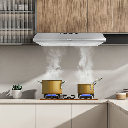 30-in 220-CFM Convertible Silver Under Cabinet Range Hoods Undercabinet Mount