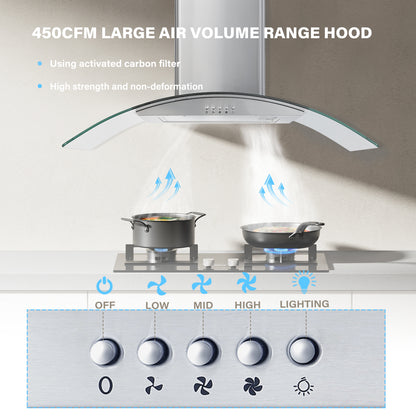 30-In 450-Cfm Ducted Silver Wall Mount Range Hoods With Charcoal Filter