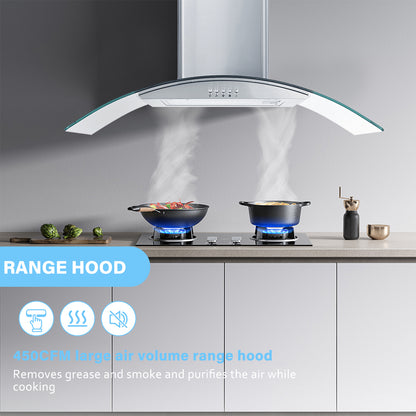 30-In 450-Cfm Ducted Silver Wall Mount Range Hoods With Charcoal Filter