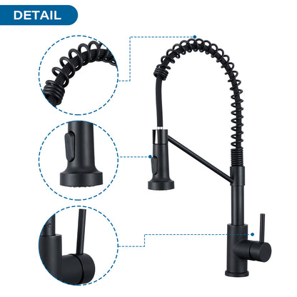 Single Handle Pull-Down Sprayer Kitchen Faucet in Matte Black