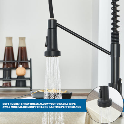 Single Handle Pull-Down Sprayer Kitchen Faucet in Matte Black