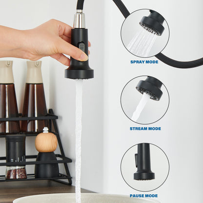 Single Handle Pull-Down Sprayer Kitchen Faucet in Matte Black