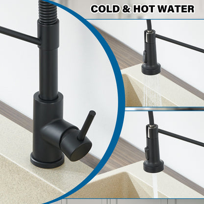 Single Handle Pull-Down Sprayer Kitchen Faucet in Matte Black