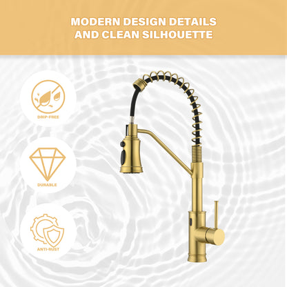 Single Handle Pull Out Sprayer Kitchen Faucet in Brushed Gold