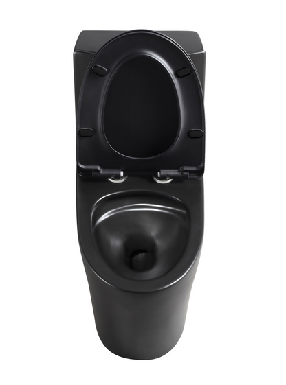 1.1/1.60 GPF Dual-Flush One Piece Toilet, Water-Saving Elongated Comfort Height Floor Mounted, Soft Close Seat, 1000 Gram Map Flushing Score Toilet, Matte Black 24T01-MB