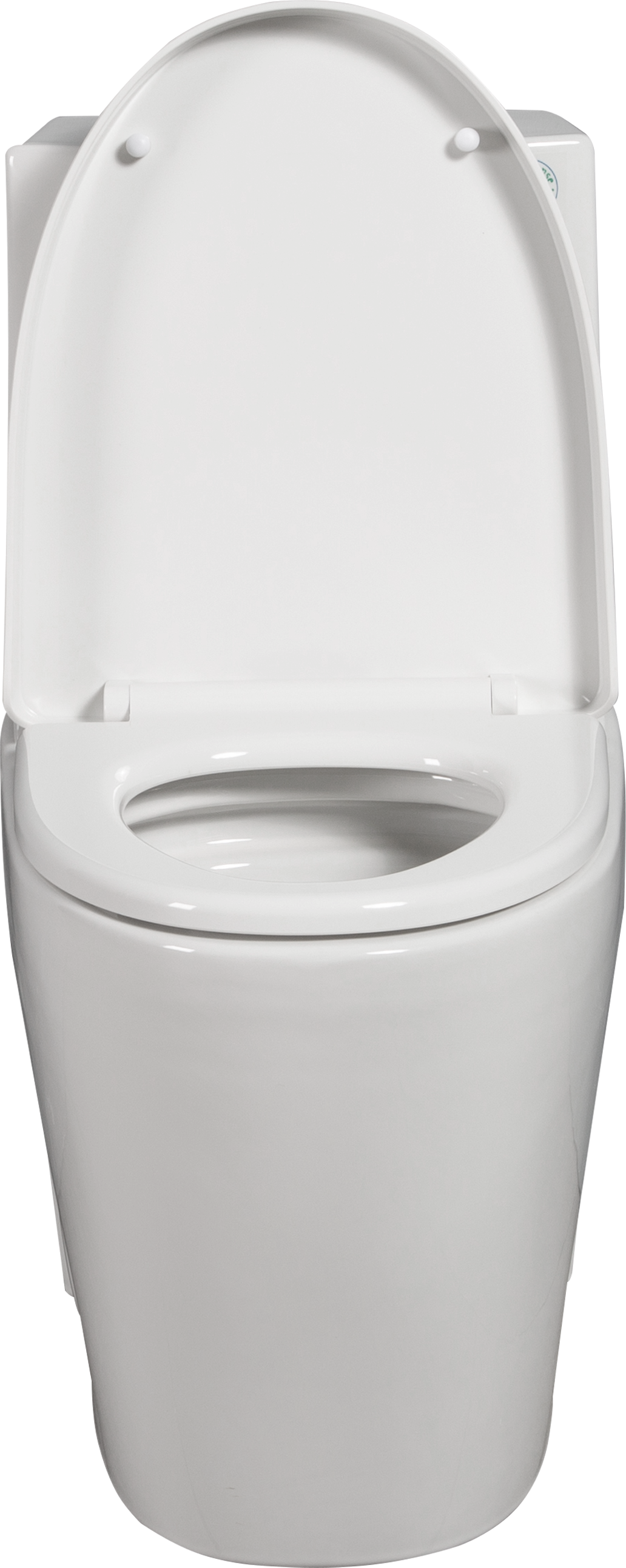 One-Piece Toilet, 1.1/1.60 GPF Water-Efficient Dual-Flush Elongated Comfort Height Floor Mounted, Standard-Size Toilet with Soft Closing Seat Included, Glossy White GF-24T01-GW