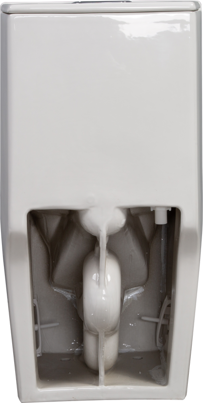 One-Piece Toilet, 1.1/1.60 GPF Water-Efficient Dual-Flush Elongated Comfort Height Floor Mounted, Standard-Size Toilet with Soft Closing Seat Included, Glossy White GF-24T01-GW