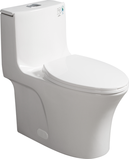 1.1/1.60 GPF Dual-Flush One Piece Toilet, Water-Saving Elongated Comfort Height Floor Mounted, Soft Closing Seat, 1000 Gram Map Flushing Score Toilet, Glossy White GF-24T02-GW