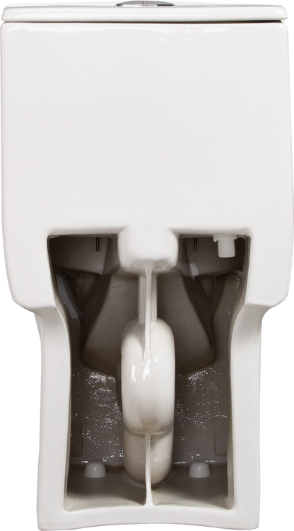 1.1/1.60 GPF Dual-Flush One Piece Toilet, Water-Saving Elongated Comfort Height Floor Mounted, Soft Closing Seat, 1000 Gram Map Flushing Score Toilet, Glossy White GF-24T02-GW