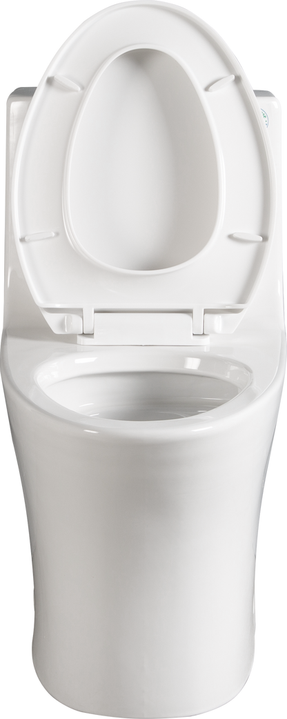 1.1/1.60 GPF Dual-Flush One Piece Toilet, Water-Saving Elongated Comfort Height Floor Mounted, Soft Closing Seat, 1000 Gram Map Flushing Score Toilet, Glossy White GF-24T02-GW