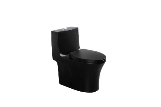 1.1/1.60 GPF Dual-Flush One Piece Toilet, Water-Saving Elongated Comfort Height Floor Mounted, Soft Closing Seat, 1000 Gram Map Flushing Score Toilet, Matte Black CM-24T02-MB