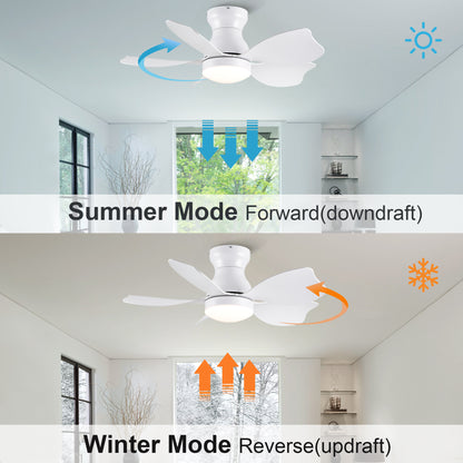 30 In Small Kid's Ceiling Fan Lighting with Remote Control for Small Children Room