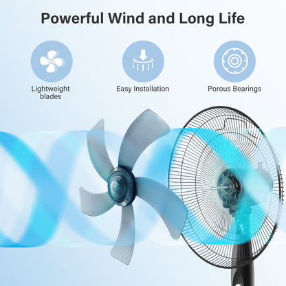 2-Pack Oscillating 16″ 3 Adjustable Speed Pedestal Stand Fan for Indoor, Bedroom, Living Room, Home Office & College Dorm Use, 16 Inch, BlackOffice & College Dorm Use, 16 Inch, Black