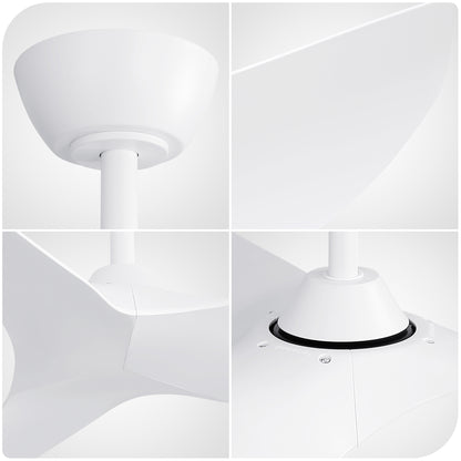 38 Inch Ceiling Fan Without Light, Modern Indoor Outdoor Ceiling Fans with DC Motor Remote Control for Bedroom, Living Room