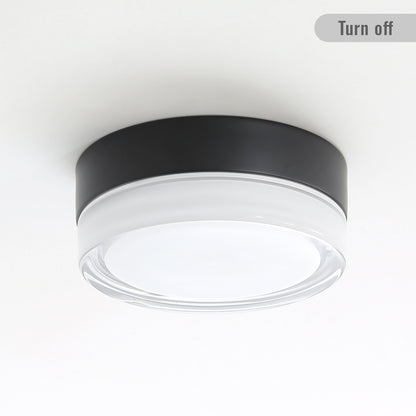 Small Size Flush Mount Ceiling Light 24W Glass Lampshade 2700K Ceiling Light Fixture for Bedroom Kids Room