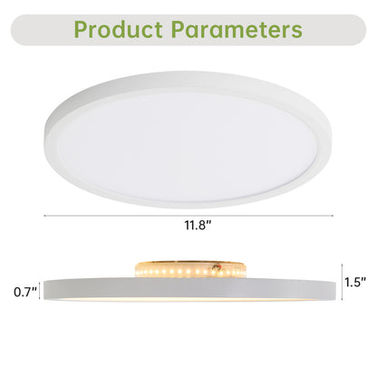 11.8 Inch Flush Mount Ceiling Light, 20W LED+Nightlight Ceiling Light Fixture for Kitchen Bedroom Living Room
