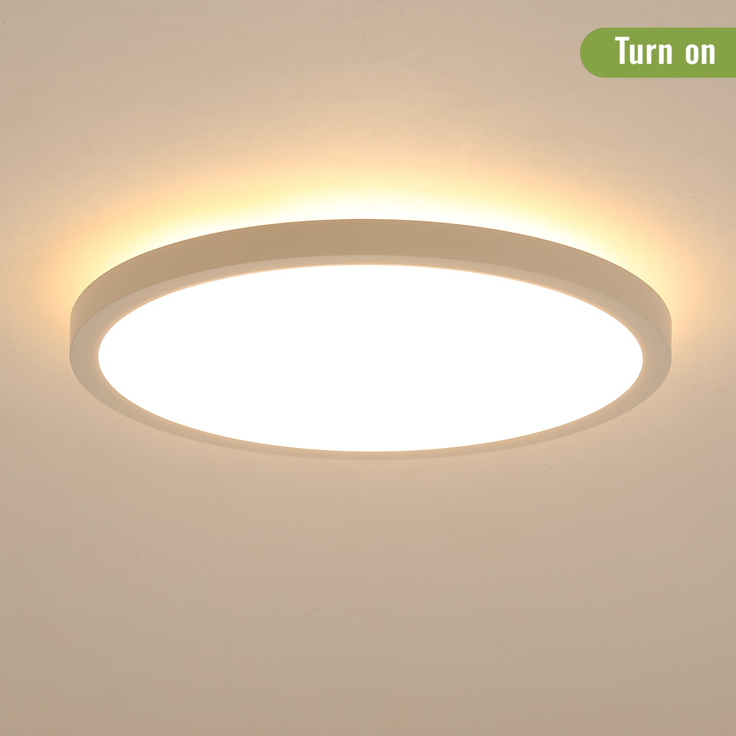 11.8 Inch Flush Mount Ceiling Light, 20W LED+Nightlight Ceiling Light Fixture for Kitchen Bedroom Living Room