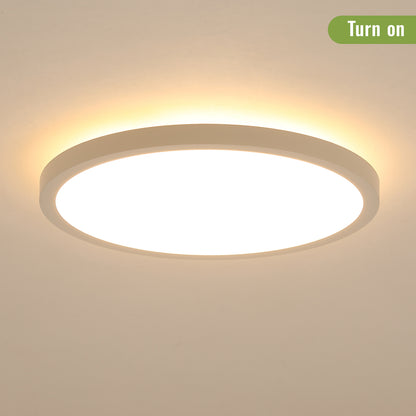 11.8 Inch Flush Mount Ceiling Light, 20W LED+Nightlight Ceiling Light Fixture for Kitchen Bedroom Living Room