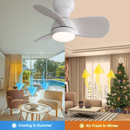 23 Inch Indoor Ceiling Fan With 3 Color Dimmable 3 ABS Blades Remote Control Reversible DC Motor White With 18W Led Light