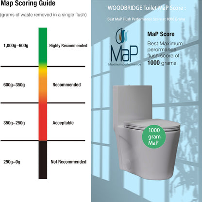 1.1/1.6 GPF Tornado Flush One-Piece Toilet for bathrooms,Siphonic S-trap 12",Elongated Bowl with Soft Close Seat,Powerful Dual Flush MAP 1000g,Comfort Chair Seat ADA Height 17", Light gray LG-001