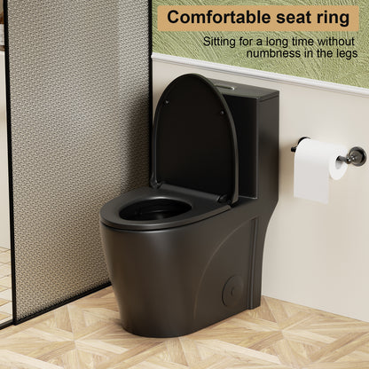 1.1/1.6 GPF Tornado Flush One-Piece Toilet for bathrooms,Siphonic S-trap 12",Elongated Bowl with Soft Close Seat,Powerful Dual Flush MAP 1000g,Comfort Chair Seat ADA Height 17", Matte black MB-001