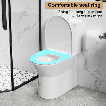 1.1/1.6 GPF Tornado Flush One-Piece Toilet with Comfort Chair Seat ADA Height 17",Powerful & Quiet Dual Flush Modern Toilet,Siphonic S-trap 12",Rimless Bowl with Soft Closing Seat,Gloss White GW-005
