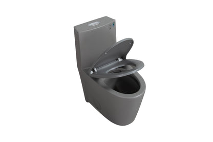 1.1/1.60 GPF Dual-Flush One Piece Toilet, Water-Saving Elongated Comfort Height Floor Mounted, Soft Close 1000 Gram Map Flushing Score Toilet, Light Grey 24T01-LG