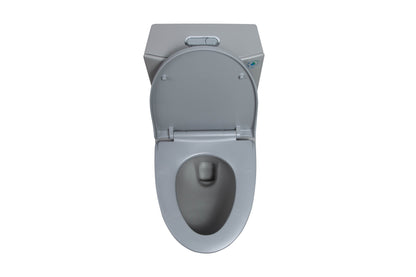 1.1/1.60 GPF Dual-Flush One Piece Toilet, Water-Saving Elongated Comfort Height Floor Mounted, Soft Close 1000 Gram Map Flushing Score Toilet, Light Grey 24T01-LG