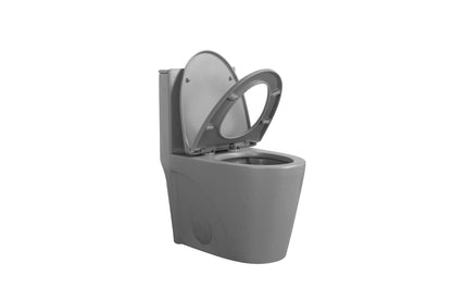 1.1/1.60 GPF Dual-Flush One Piece Toilet, Water-Saving Elongated Comfort Height Floor Mounted, Soft Close 1000 Gram Map Flushing Score Toilet, Light Grey 24T01-LG