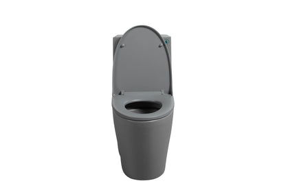 1.1/1.60 GPF Dual-Flush One Piece Toilet, Water-Saving Elongated Comfort Height Floor Mounted, Soft Close 1000 Gram Map Flushing Score Toilet, Light Grey 24T01-LG